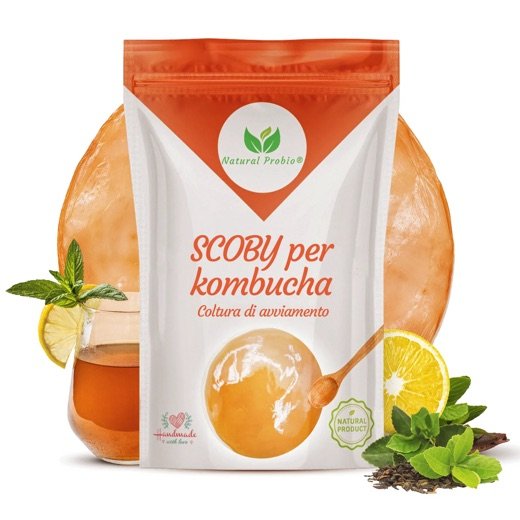 SCOBY di kombucha Natural Probio